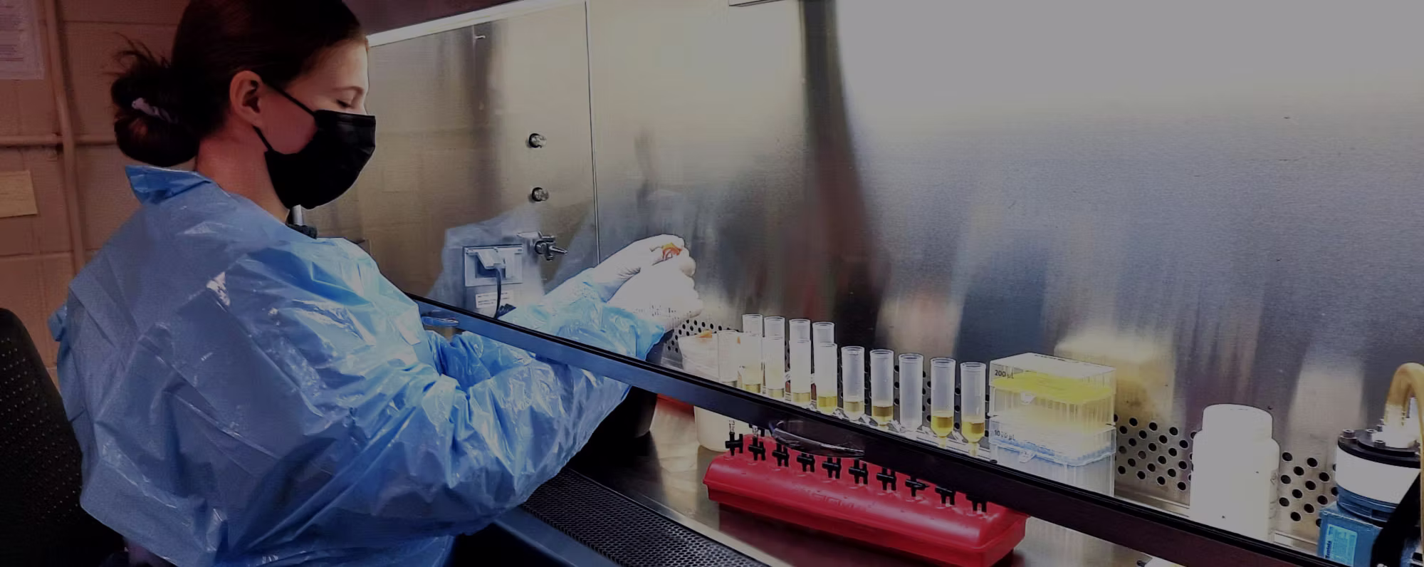 Cutting-Edge Technology